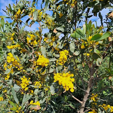 Max House A Un Passo Dal Mare Badesi